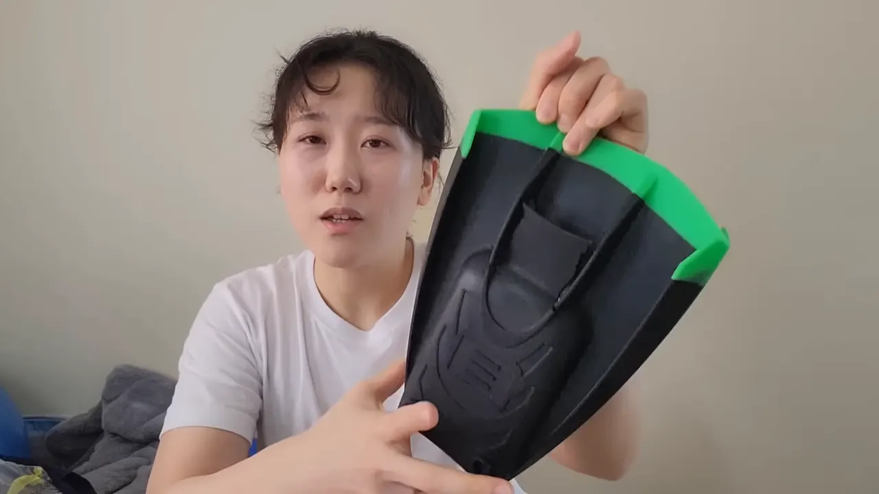 찢어진 뒤 삭아 버린 리펠로