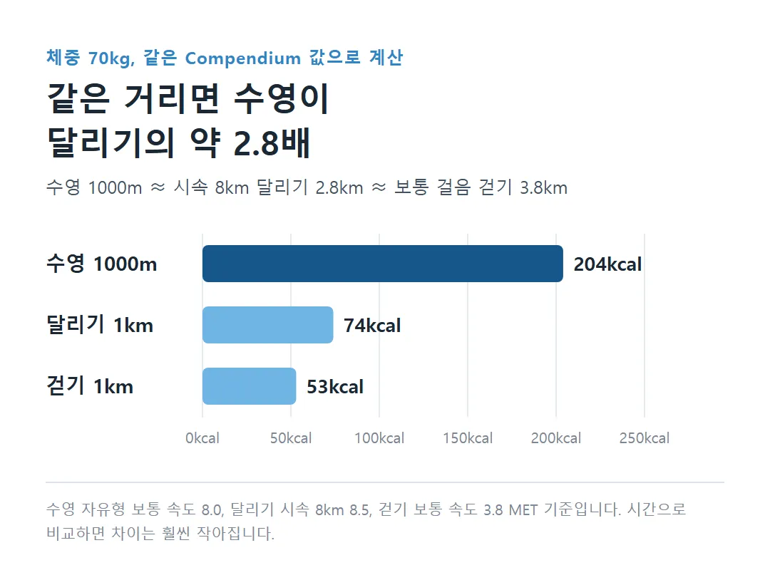 수영 1000m와 달리기 걷기 1km 칼로리 비교