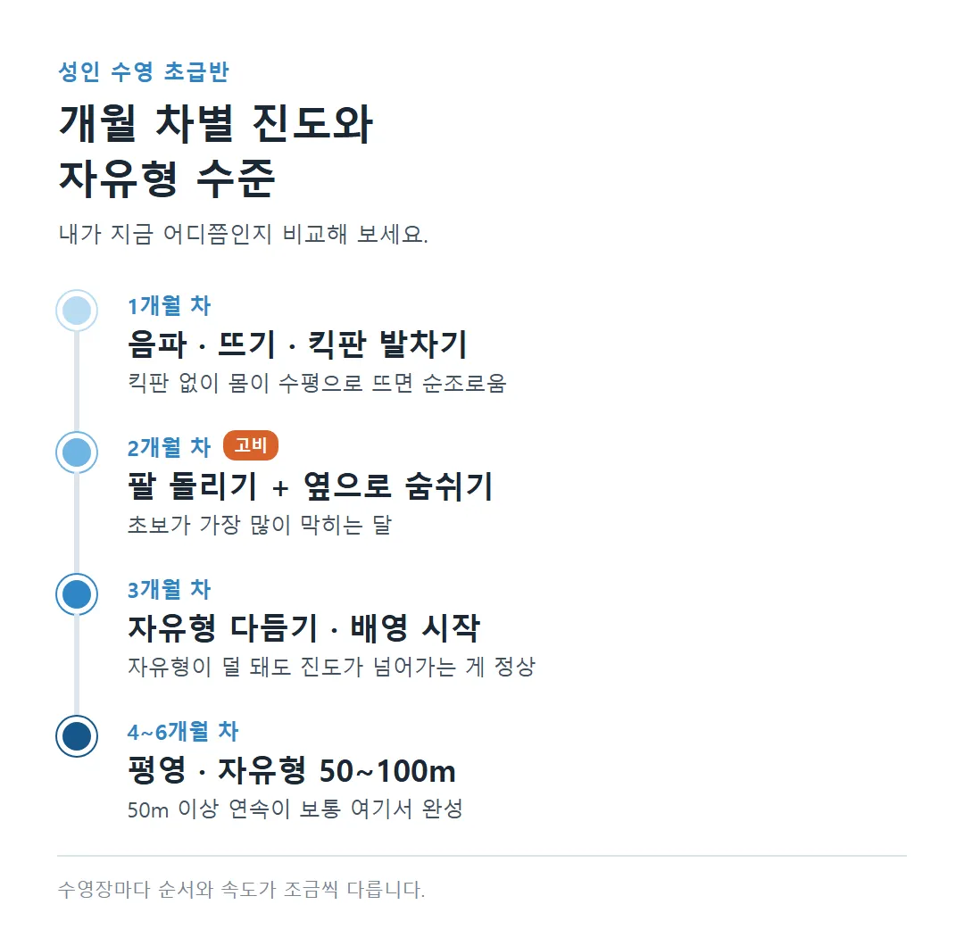 성인 수영 초급반 월별 진도