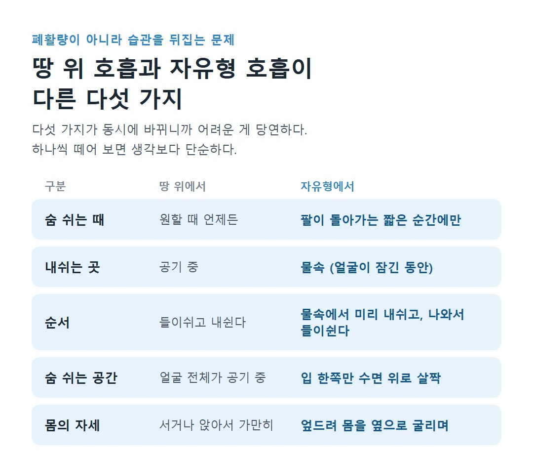 땅 위 호흡과 자유형 호흡이 다른 다섯 가지