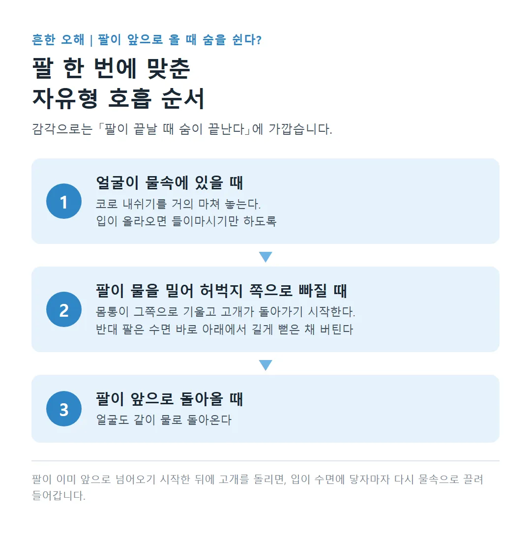 얼굴이 물속일 때 내쉬고, 팔이 허벅지로 빠질 때 고개를 돌리고, 팔이 앞으로 올 때 얼굴이 돌아오는 자유형 호흡 순서