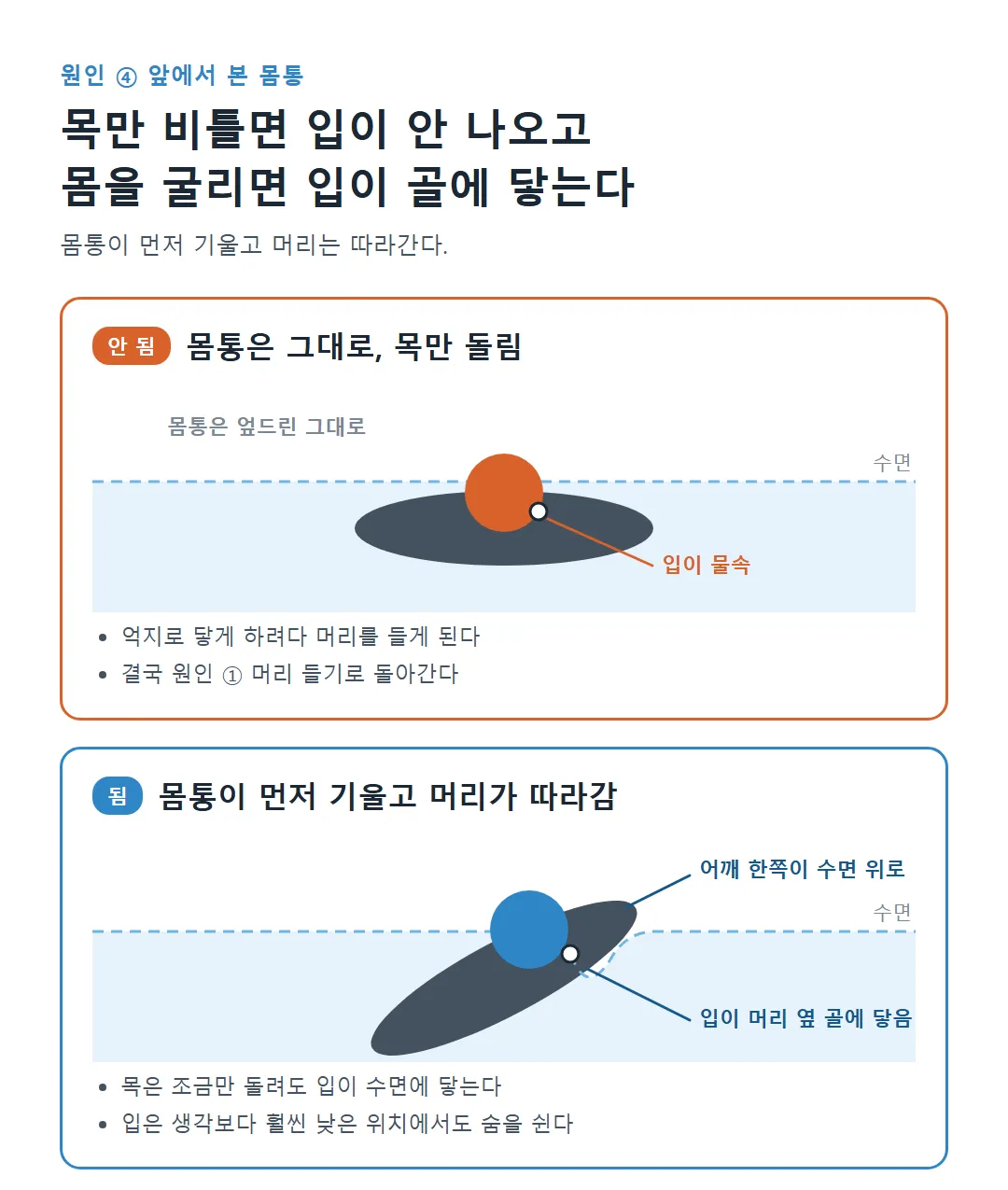 앞에서 본 자유형 호흡, 목만 돌려 입이 물속에 있는 모습과 몸통을 굴려 입이 수면 골에 닿는 모습 비교