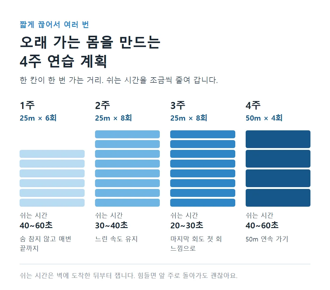 수영 지구력을 늘리는 4주 연습 계획
