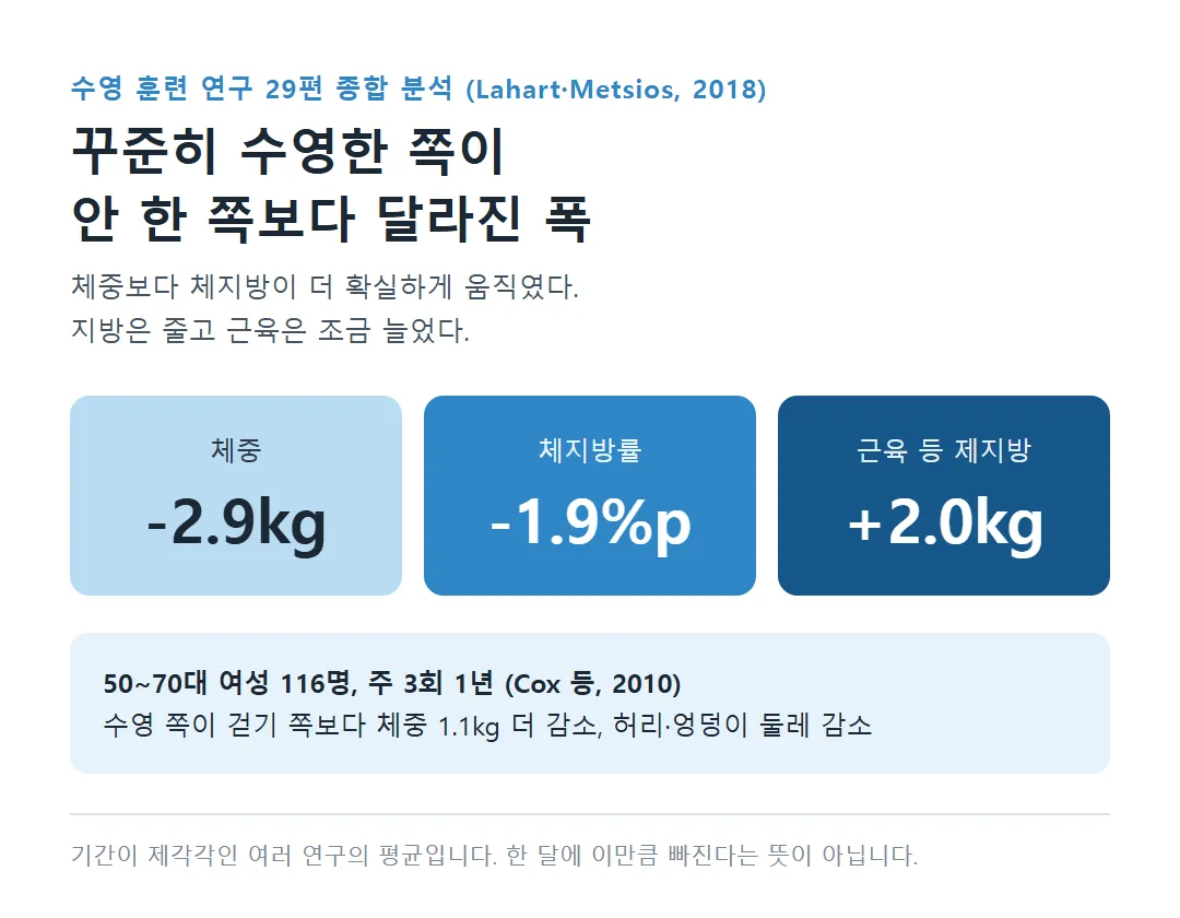 수영 연구 29편 종합 체중 체지방률 제지방 변화