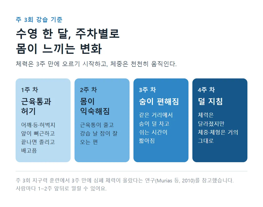 수영 한 달 1주 차부터 4주 차까지 몸의 변화