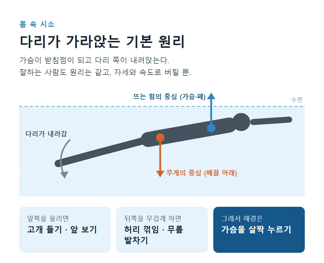 가슴은 뜨고 다리는 가라앉는 몸 속 시소 원리