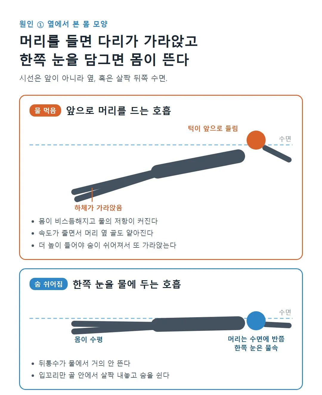 자유형 호흡에서 머리를 들어 하체가 가라앉는 자세와 한쪽 눈을 물에 두어 수평을 유지하는 자세 옆모습 비교