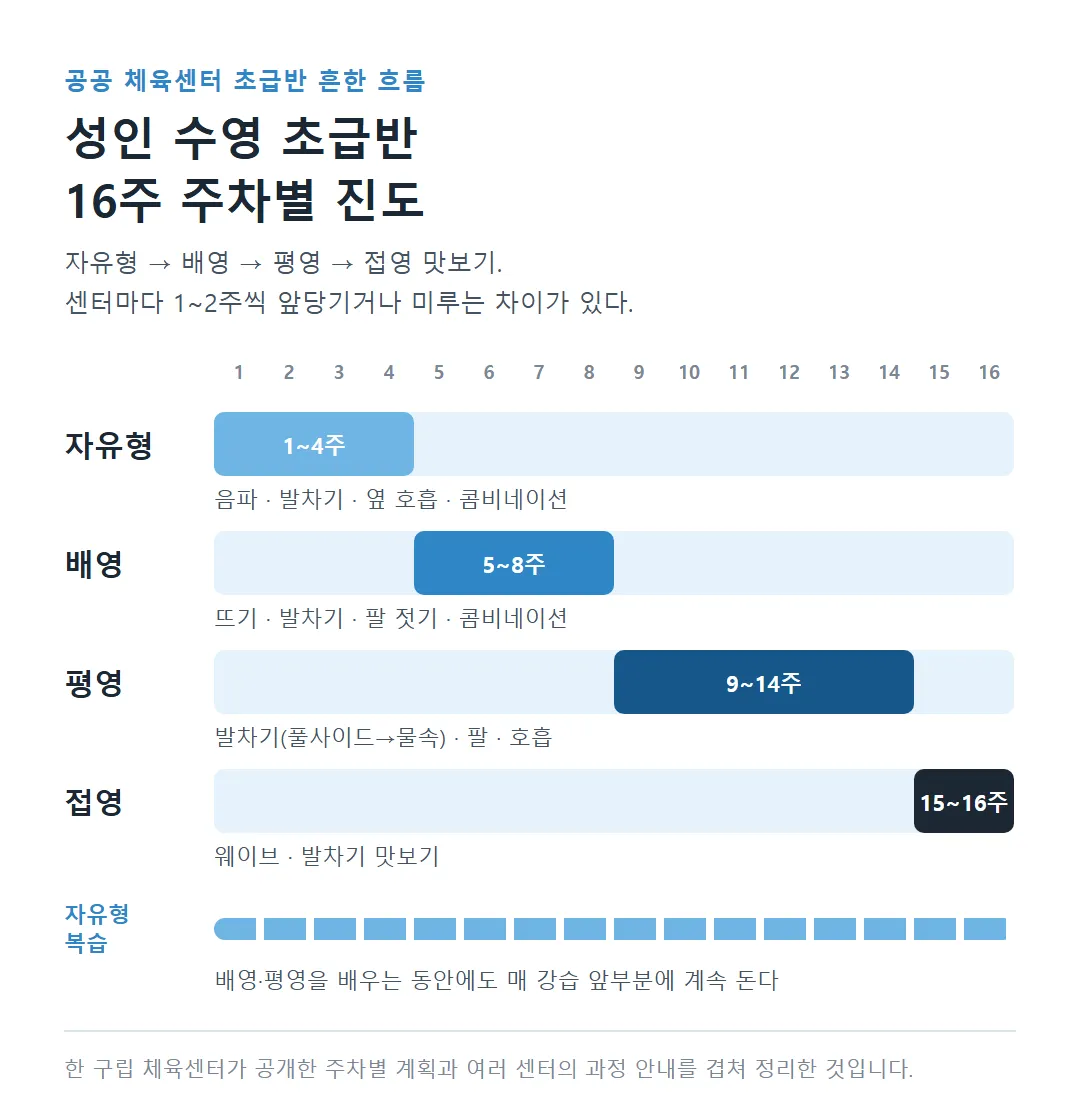 성인 수영 초급반 16주 주차별 진도