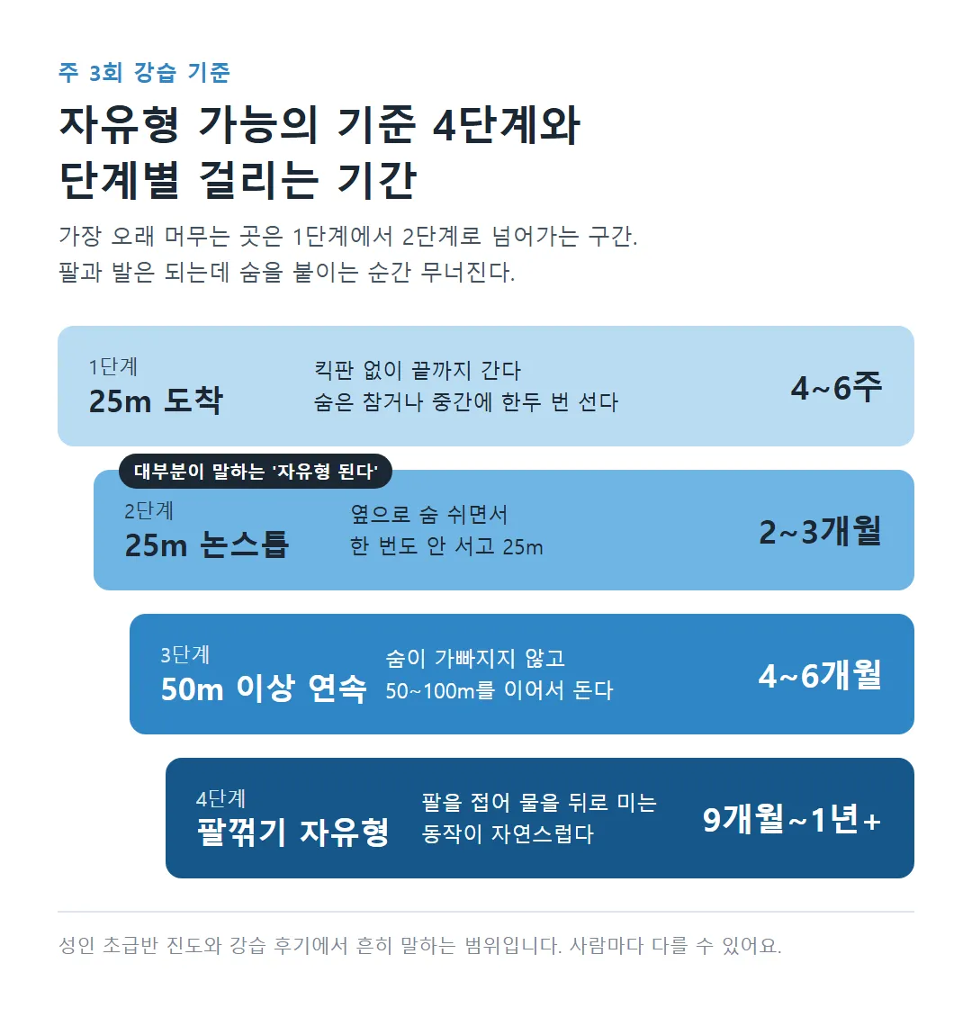 자유형 가능 기준 4단계와 단계별 기간