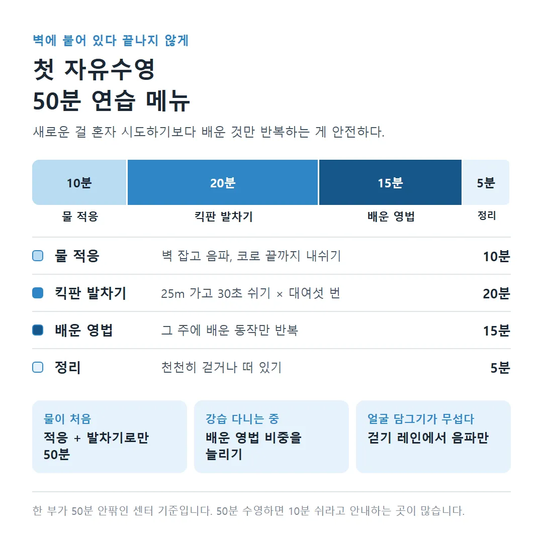 첫 자유수영 50분 연습 메뉴