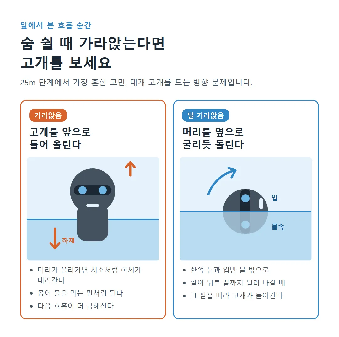앞에서 본 호흡 순간 비교: 고개를 앞으로 들어 올려 하체가 가라앉는 모습과 머리를 옆으로 굴려 한쪽 눈과 입만 내놓는 모습