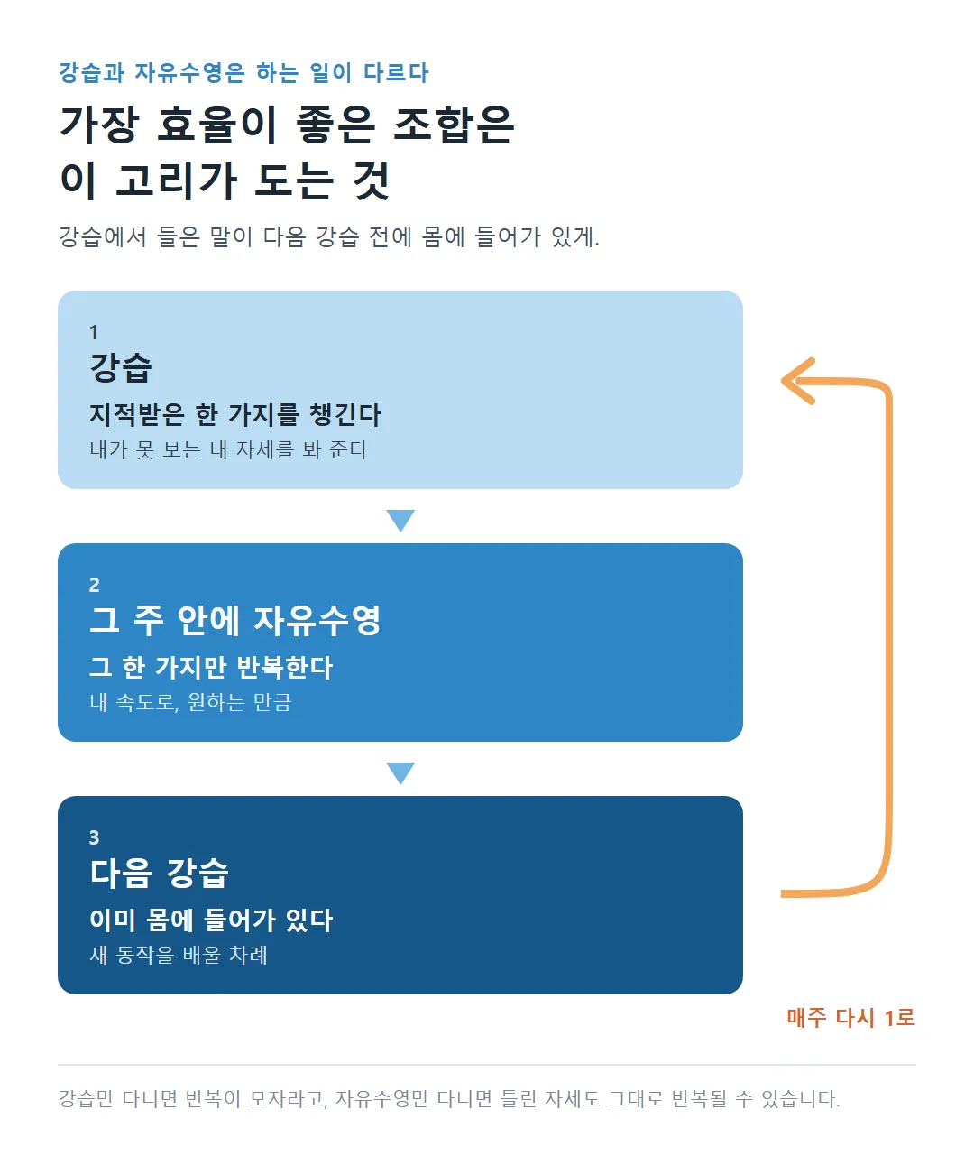 강습에서 지적받은 한 가지를 그 주 자유수영에서 반복하고 다음 강습으로 이어지는 고리