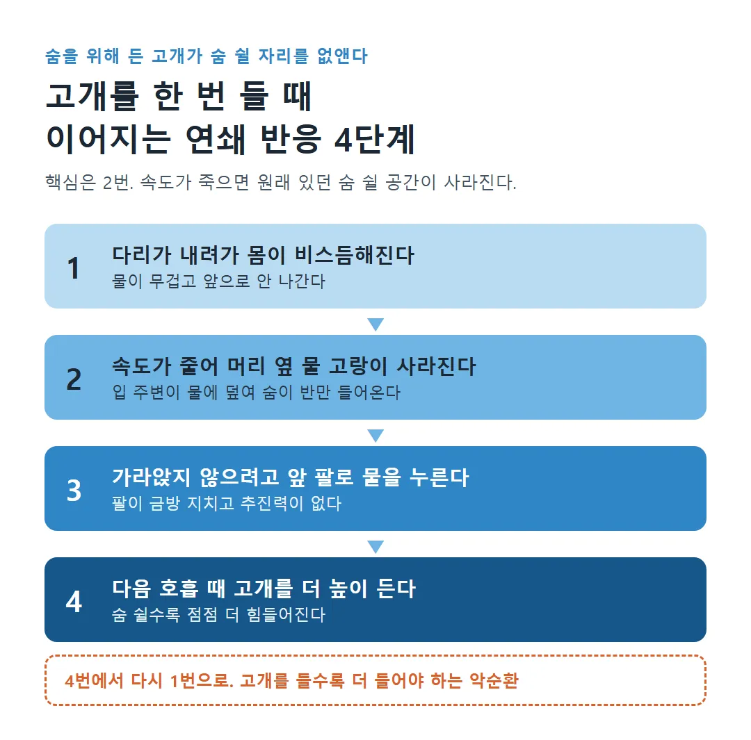 고개를 한 번 들 때 이어지는 연쇄 반응 4단계