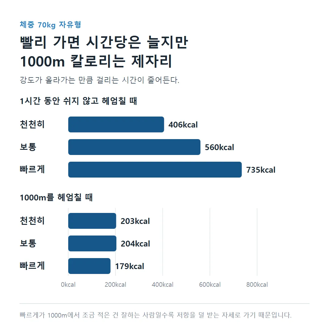 자유형 속도별 1시간 칼로리와 1000m 칼로리 비교
