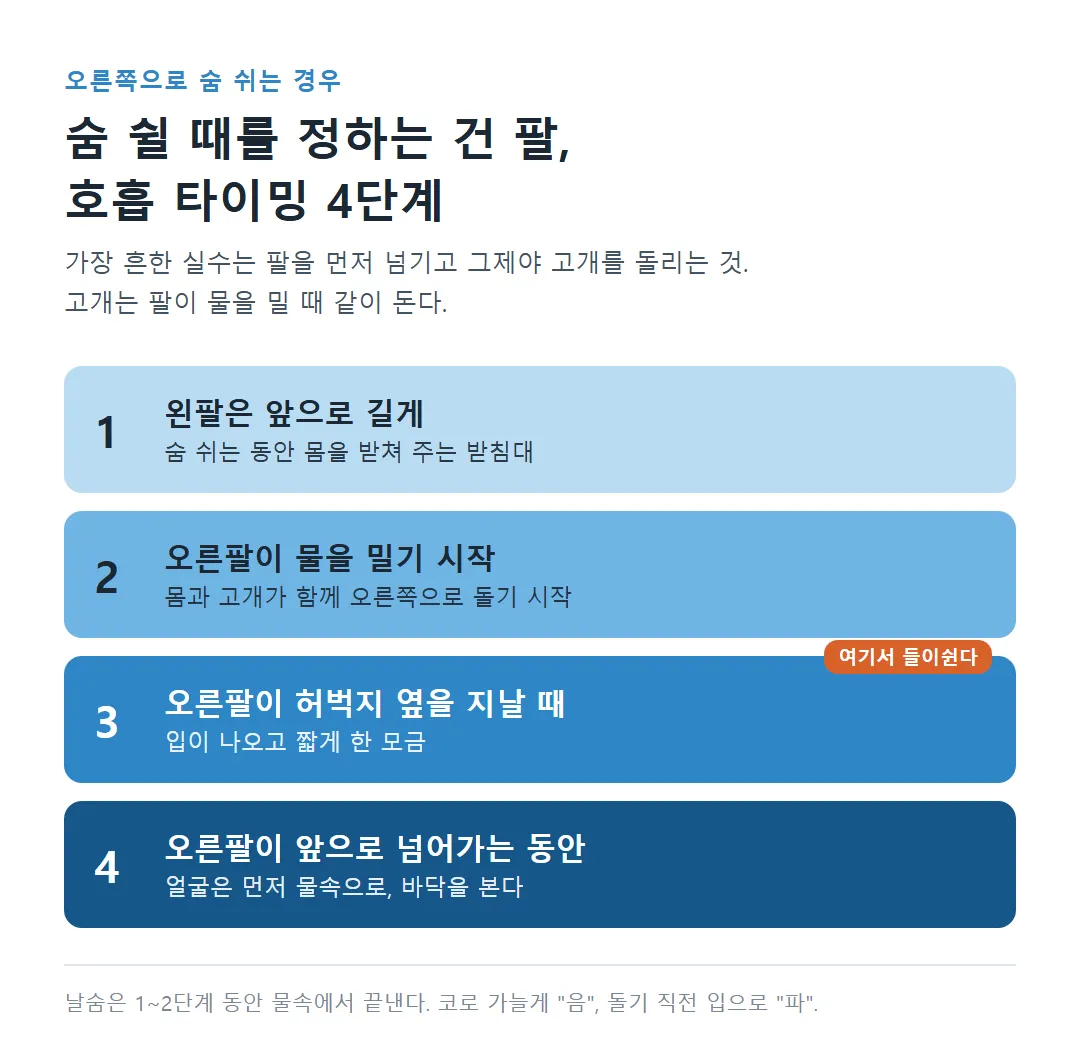 자유형 호흡 타이밍 4단계