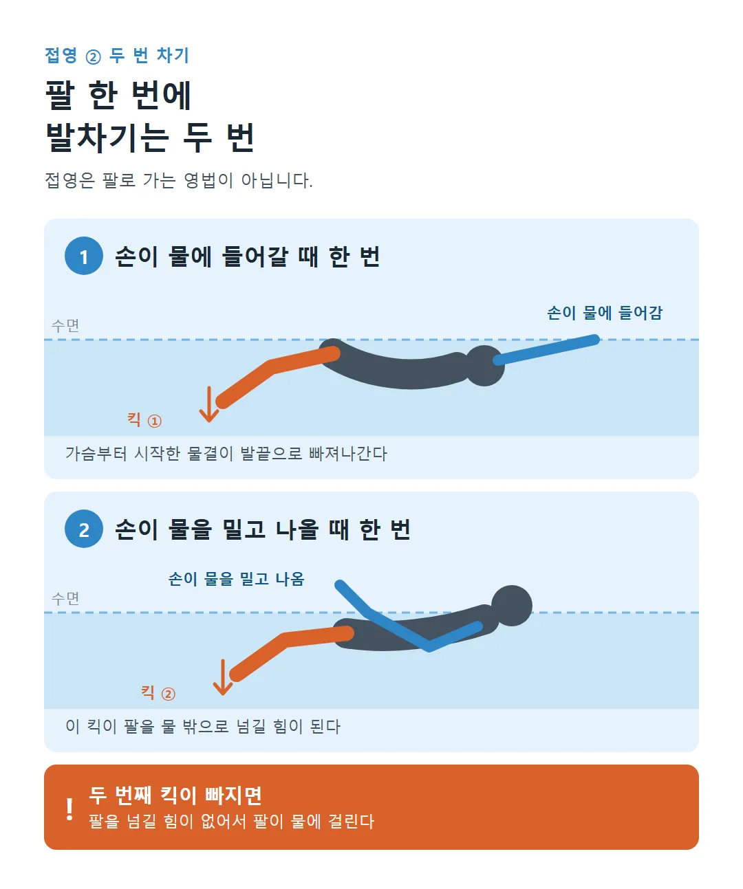 옆에서 본 접영 두 번 차기: 손이 물에 들어갈 때 한 번, 손이 물을 밀고 나올 때 한 번